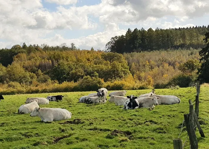 Villa Du Vieux Chene *