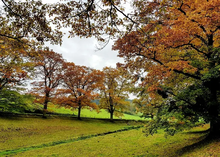 Du Vieux Chene Villa *